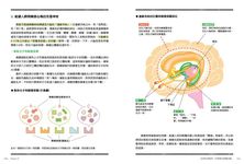 精油芳療教科書: 嚴選75款精油詳解X165帖多元對症處方X天然手作保養品X專家級芳療按摩, 以植物能量完整調理身體．肌膚．心靈 - 圖片 2