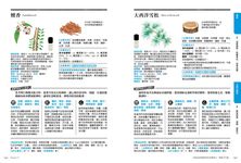 精油芳療教科書: 嚴選75款精油詳解X165帖多元對症處方X天然手作保養品X專家級芳療按摩, 以植物能量完整調理身體．肌膚．心靈 - 圖片 3