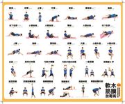軟木筋膜放鬆術: 44組全身筋膜按摩、伸展放鬆圖解全書 (盒裝版/附軟木球) - 圖片 6