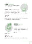 魔藥學: 魔法、藥草與巫術的神奇秘密 - 圖片 6