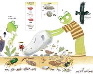 和雨蛙爸爸一起: 昆蟲採集初體驗 (第2版) - 圖片 3