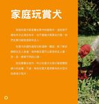 兒童百科: 狗狗小百科 (典藏版) - 圖片 5