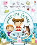 Usborne Very First Lift-the-Flap Questions And Answers Collection 2 Books Set (2冊合售) - 圖片 2