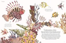 Beneath the Waves - 圖片 2