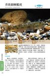 臺灣淡水及河口魚蝦圖鑑 - 圖片 2