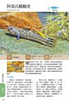 臺灣淡水及河口魚蝦圖鑑 - 圖片 3