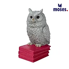 moses.時尚書擋/ 知識家