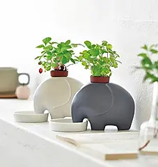 聖新陶芸elephant瀨戶燒大象陶盆種植組/ 灰象/ 薄荷