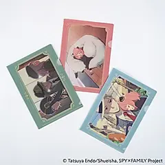 日本ほぼ日手帳L型資料夾組/ A6/ SPY x FAMILY/ 3入