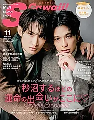 S Cawaii (11月/2025)