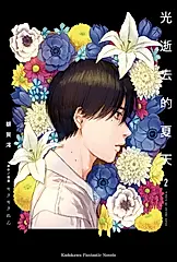 光逝去的夏天 2
