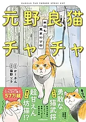 元野良猫チャチャ 本日も見まわり中