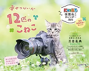 にゃっぷる保護ねこカレンダー卓上版 2026 [カレンダー]