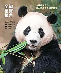 全知福寶視角 (電子書)