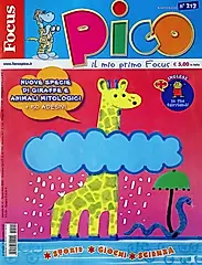 Focus Pico (Nov/No.213/2025)