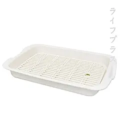 美廚/淺型瀝水盤-2入組