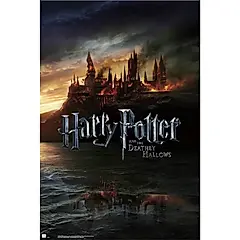 erik【哈利波特】HARRY POTTER 死神的聖物(上) 進口電影海報