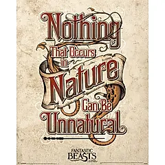 Pyramid International【怪獸與牠們的產地】自然界中發生的任何事情都不會是不自然的 - 進口迷你海報