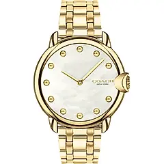 COACH Arden 珍珠貝女錶-香檳金/36mm 14503987