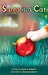 Santa is a Cat