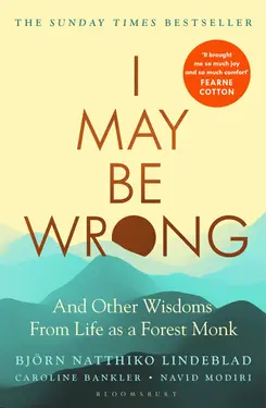 I May Be Wrong: And Other Wisdoms from Life as a Forest Monk