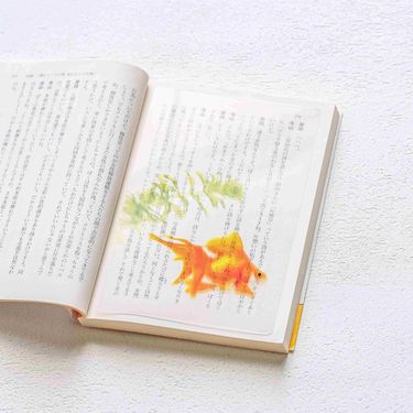日本 & focus.透明書籤/ A6/ 水草與琉金