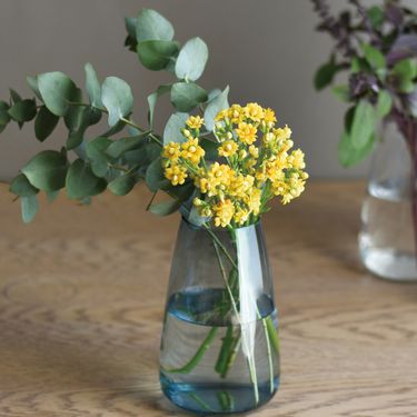 KINTO AQUA CULTURE 玻璃花瓶 (大)- 藍