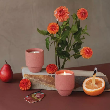 美國 PADDYWAX 國家公園系列73小時蠟燭/ 紅木國家公園/ 紅木+百合/ 11 oz.