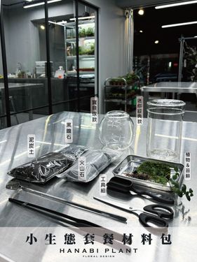 Hanabi plant 煙花蕨醒 DIY材料包-小直筒
