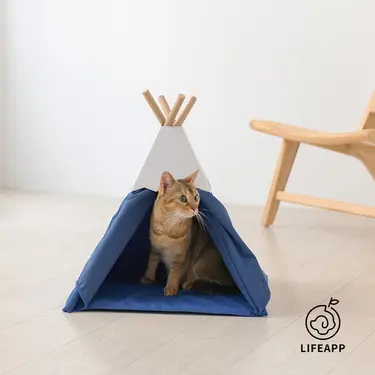 LIFEAPP小貓山丘/ 富士山藍