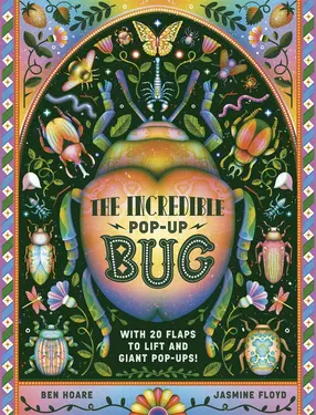 The Incredible Pop-up Bug: With 20 Flaps to Lift and Giant Pop-ups