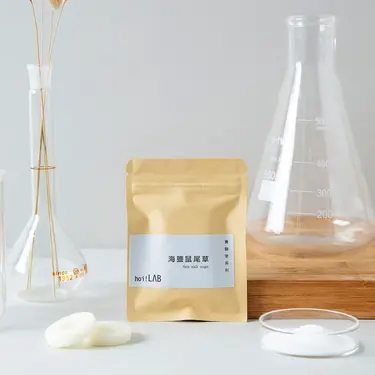 【hoi!LAB】實驗室-車用香氛補充片2入組/ 海鹽鼠尾草