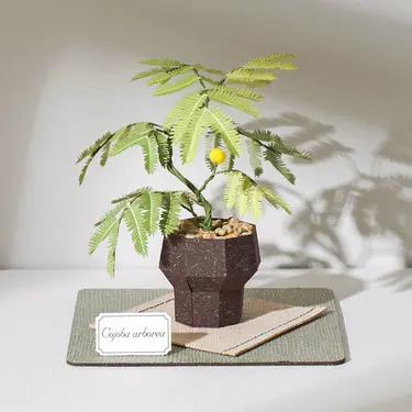 紙風景紙植栽雷射材料包/ 小豆樹