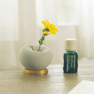 物外YSTUDIO x auscentic綠意擴香石