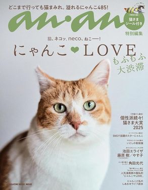 anan特別編集: にゃんこLOVE もふもふ大渋滞
