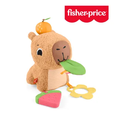 【Fisher price 費雪】安撫小水豚