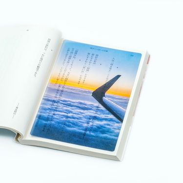 日本 & focus.透明書籤/ A6/ 空中的旅伴