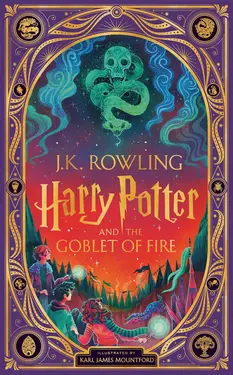 Harry Potter and the Goblet of Fire (Interactive Illustrated Ed.)