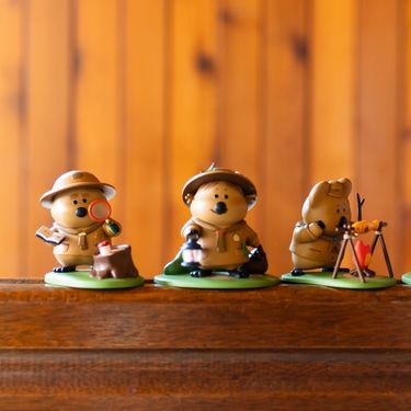 Dinotaeng呆萌町露營系列公仔盒玩/ 單入隨機