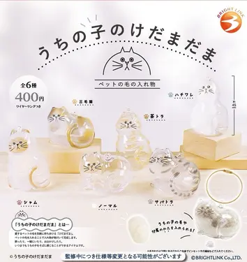 Bright link扭蛋/ 我家毛孩透明吊飾/ 單入隨機