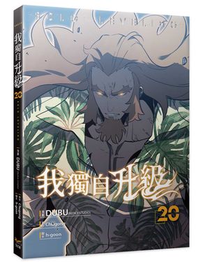 我獨自升級 20