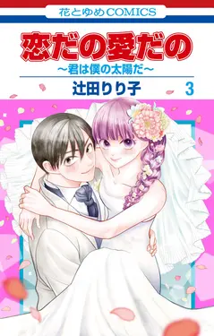 恋だの愛だの~君は僕の太陽だ~ 3 花とゆめコミックス