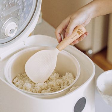 樹可熊熊站立飯勺/ 米白