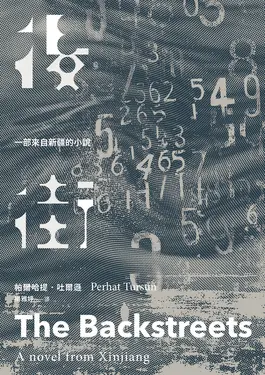 後街: 一部來自新疆的小說