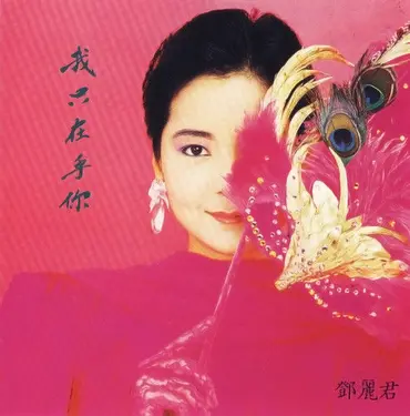 我只在乎你
