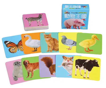 Food超人聰明認知大圖卡/ 動物王國