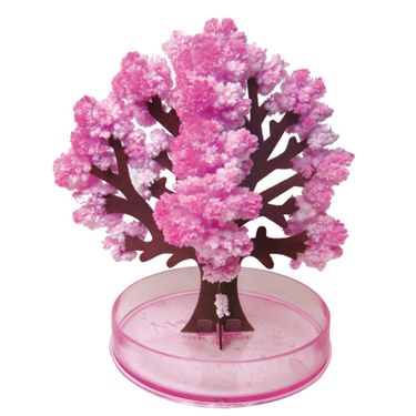 mr. sci賽先生科學工廠魔法櫻花/ 10CM/ 獨家櫻花香