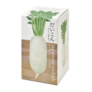 聖新陶芸自給自足根菜栽培組/ 白蘿蔔