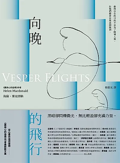 向晚的飛行 (電子書)