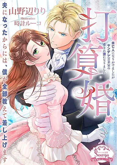 打算婚 ソーニャ文庫 や1-24(文庫)